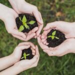 299803 P7FMRM 367 min