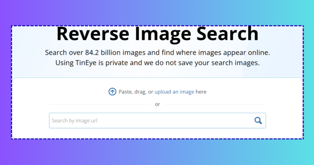 TinEye reverse image search results sorted by date to find original image source