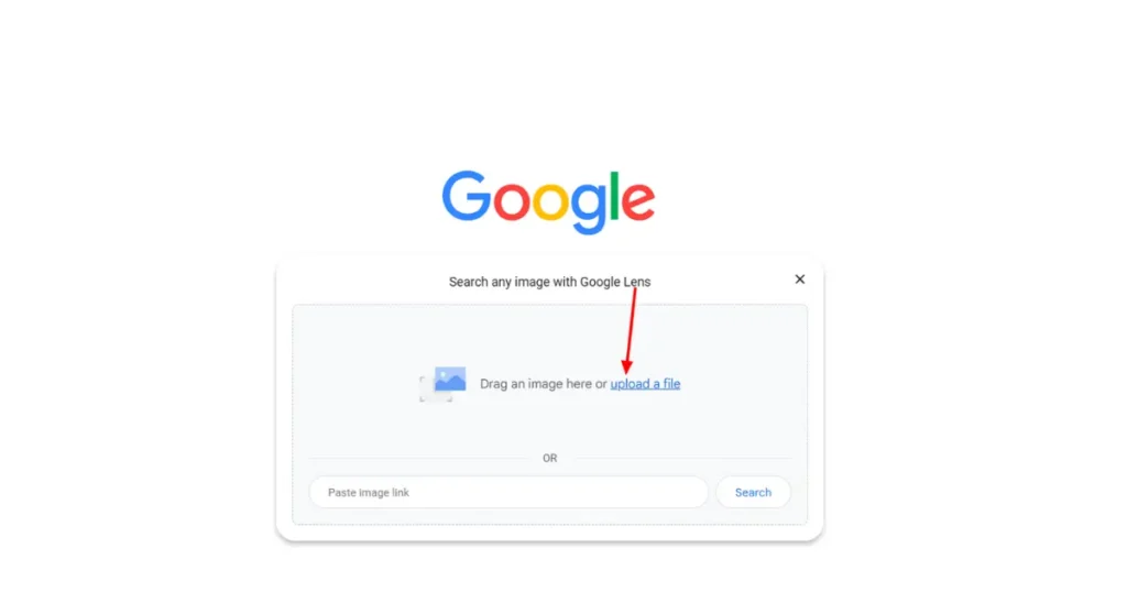 What Can Google Lens Do