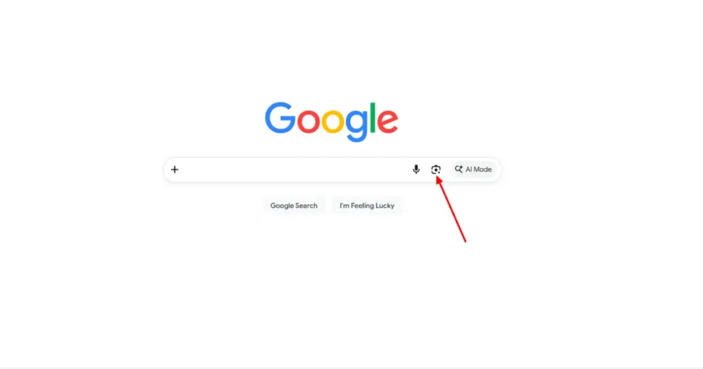What Can Google Lens Recognize
